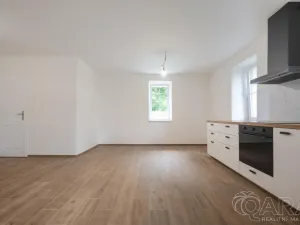 Prodej apartmánu, Zlatá Olešnice, 55 m2