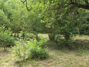 Prodej pozemku pro bydlení, Jilemnice, Na Drahách, 1874 m2