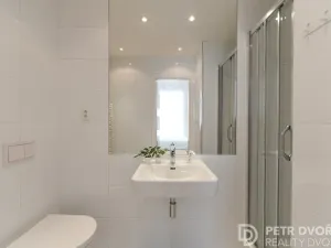 Prodej bytu 1+1, Praha - Smíchov, U Pernikářky, 27 m2