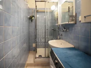 Prodej bytu 2+kk, Praha - Nusle, Zdaru, 44 m2