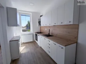 Pronájem rodinného domu, Dubí - Běhánky, Sportovní, 268 m2