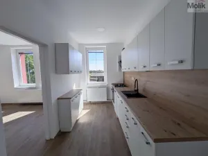 Pronájem rodinného domu, Dubí - Běhánky, Sportovní, 268 m2