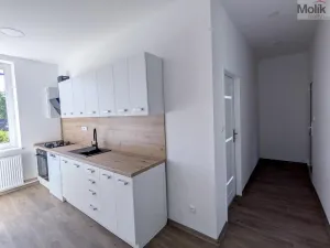 Pronájem rodinného domu, Dubí - Běhánky, Sportovní, 268 m2