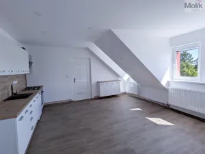 Pronájem rodinného domu, Dubí - Běhánky, Sportovní, 268 m2