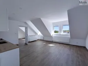 Pronájem rodinného domu, Dubí - Běhánky, Sportovní, 268 m2