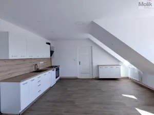 Pronájem rodinného domu, Dubí - Běhánky, Sportovní, 268 m2