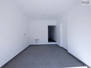 Pronájem rodinného domu, Dubí - Běhánky, Sportovní, 268 m2