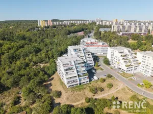 Prodej bytu 1+kk, Brno, Tomečkova, 46 m2