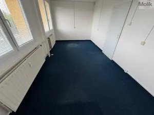 Pronájem kanceláře, Most, Růžová, 55 m2