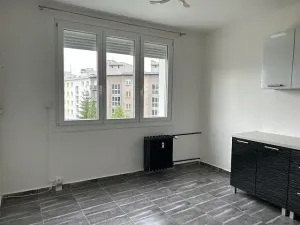 Prodej bytu 1+1, Plzeň, Dlouhá, 36 m2