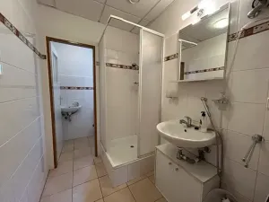 Prodej bytu 2+kk, Město Touškov, U Špejcharu, 48 m2