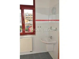 Pronájem bytu 1+1, České Budějovice - České Budějovice 3, J. Š. Baara, 27 m2
