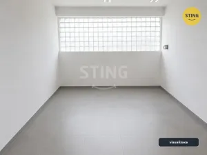Pronájem obchodního prostoru, Sviadnov, Ostravská, 55 m2