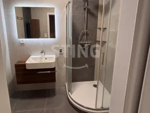 Pronájem bytu 2+1, Opava, Masarykova třída, 52 m2