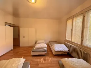 Pronájem činžovního domu, Plzeň, Mánesova, 305 m2