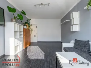 Pronájem bytu 2+1, Plzeň - Severní Předměstí, Elišky Krásnohorské, 58 m2