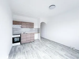 Pronájem bytu 1+1, Klášterec nad Ohří, Olšová, 34 m2