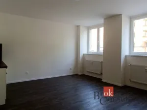Pronájem bytu 1+kk, Ostrava - Přívoz, Palackého, 33 m2
