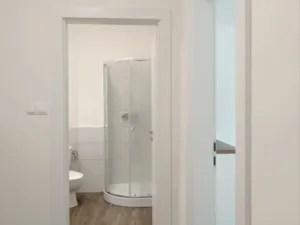 Pronájem bytu 1+kk, Ostrava - Přívoz, Palackého, 33 m2