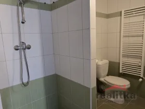 Pronájem bytu 2+kk, Opava - Předměstí, Ovocná, 53 m2
