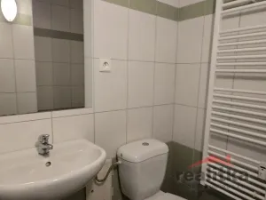Pronájem bytu 2+kk, Opava - Předměstí, Ovocná, 53 m2
