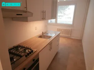 Pronájem bytu 1+1, Olomouc, Pavelčákova, 38 m2