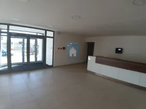 Pronájem bytu 2+kk, Plzeň, Nemocniční, 71 m2