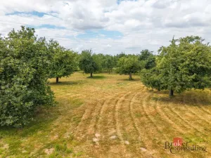 Prodej komerčního pozemku, Val, 5636 m2