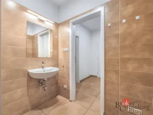 Pronájem bytu 2+1, Plzeň - Skvrňany, Kreuzmannova, 48 m2