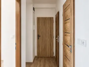 Pronájem bytu 2+1, Litvínov - Horní Litvínov, Ruská, 52 m2