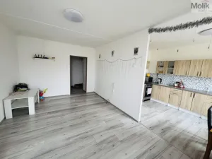 Prodej bytu 3+1, Most, Česká, 62 m2