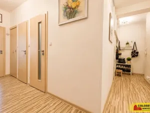 Prodej bytu 2+1, Brno, Křížkovského, 65 m2