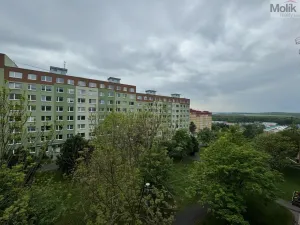 Pronájem bytu 1+1, Most, Marš. Rybalka, 35 m2