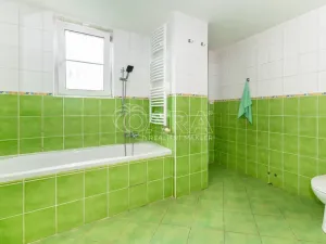 Prodej bytu 3+kk, Ústí nad Labem - Střekov, Purkyňova, 62 m2