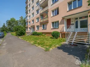 Prodej bytu 1+1, Sokolov, Slavíčkova, 39 m2