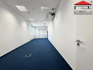 Pronájem kanceláře, Brno, Starobrněnská, 149 m2