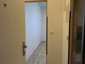 Pronájem bytu 1+kk, Plzeň - Lobzy, Těšínská, 20 m2