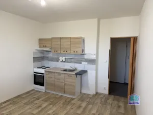 Pronájem bytu 1+kk, Plzeň - Lobzy, Těšínská, 20 m2