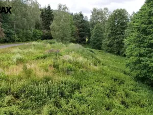 Prodej louky, Borušov, 6111 m2