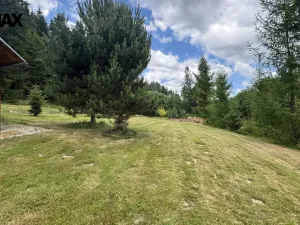 Prodej pozemku pro bydlení, Borušov, 670 m2