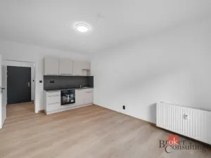 Pronájem bytu 1+kk, Brno - Zábrdovice, Bratislavská, 26 m2