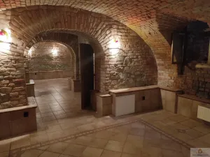 Pronájem obchodního prostoru, Olomouc, Sokolská, 95 m2