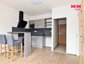 Pronájem bytu 1+1, Děčín - Děčín III-Staré Město, Rakovnická, 36 m2