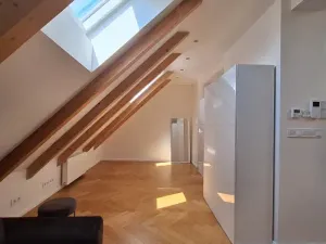 Pronájem bytu 2+1, Praha - Karlín, Březinova, 90 m2