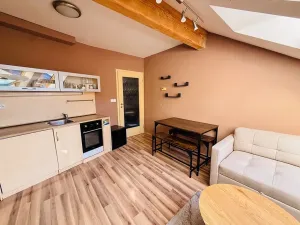 Pronájem bytu 2+kk, Olomouc, Uhelná, 47 m2