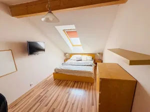 Pronájem bytu 2+kk, Olomouc, Uhelná, 47 m2