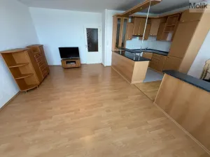 Prodej bytu 3+1, Most, Františka Malíka, 70 m2