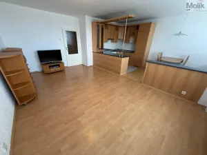 Prodej bytu 3+1, Most, Františka Malíka, 70 m2