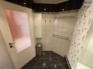 Prodej bytu 3+1, Most, Františka Malíka, 70 m2