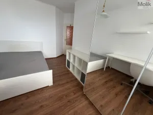 Prodej bytu 3+1, Most, Františka Malíka, 70 m2